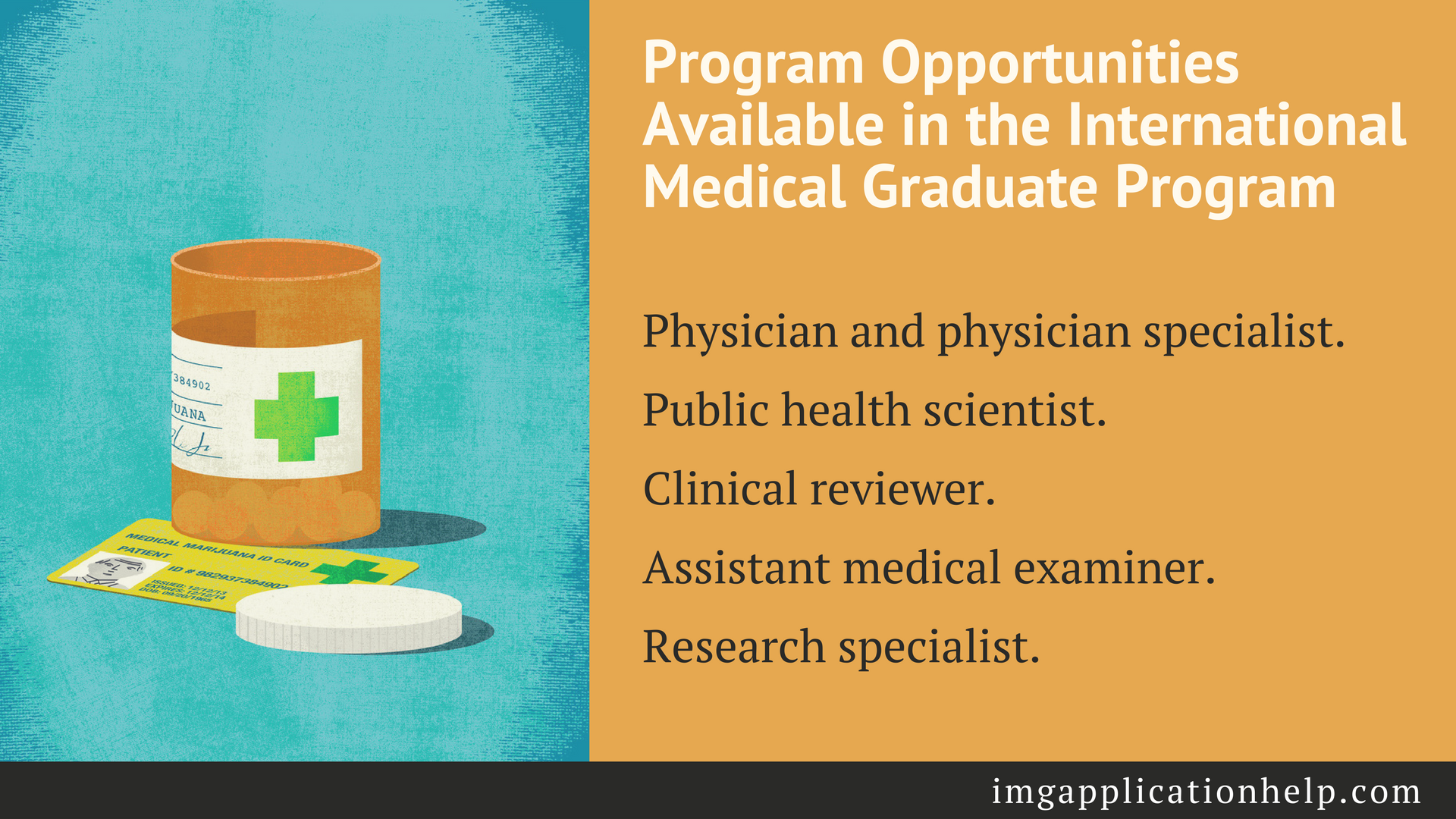 international medical graduate program